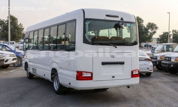 Buy Import Toyota Coaster White Car in Import - Dubai in Bagmati Buy Import Toyota Coaster White Car in Import - Dubai in Bagmati