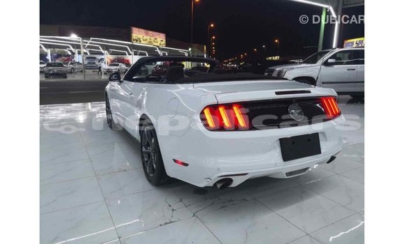 Buy Import Ford Mustang White Car in Import - Dubai in Bagmati Buy Import Ford Mustang White Car in Import - Dubai in Bagmati
