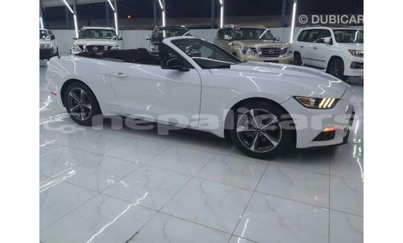 Buy Import Ford Mustang White Car in Import - Dubai in Bagmati Buy Import Ford Mustang White Car in Import - Dubai in Bagmati