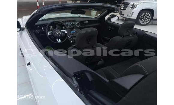 Buy Import Ford Mustang White Car in Import - Dubai in Bagmati Buy Import Ford Mustang White Car in Import - Dubai in Bagmati