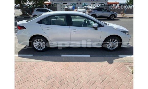 Buy Import Toyota Corolla White Car in Import - Dubai in Bagmati Buy Import Toyota Corolla White Car in Import - Dubai in Bagmati