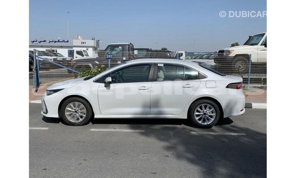 Buy Import Toyota Corolla White Car in Import - Dubai in Bagmati Buy Import Toyota Corolla White Car in Import - Dubai in Bagmati