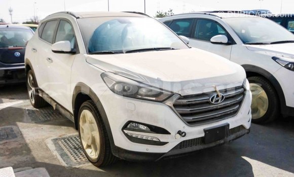 Buy Import Hyundai Tucson White Car in Import - Dubai in Bagmati Buy Import Hyundai Tucson White Car in Import - Dubai in Bagmati
