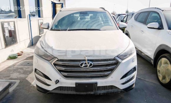 Buy Import Hyundai Tucson White Car in Import - Dubai in Bagmati Buy Import Hyundai Tucson White Car in Import - Dubai in Bagmati