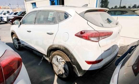 Buy Import Hyundai Tucson White Car in Import - Dubai in Bagmati Buy Import Hyundai Tucson White Car in Import - Dubai in Bagmati