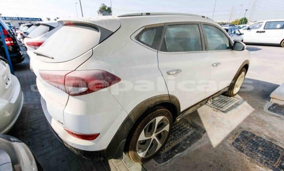 Buy Import Hyundai Tucson White Car in Import - Dubai in Bagmati Buy Import Hyundai Tucson White Car in Import - Dubai in Bagmati