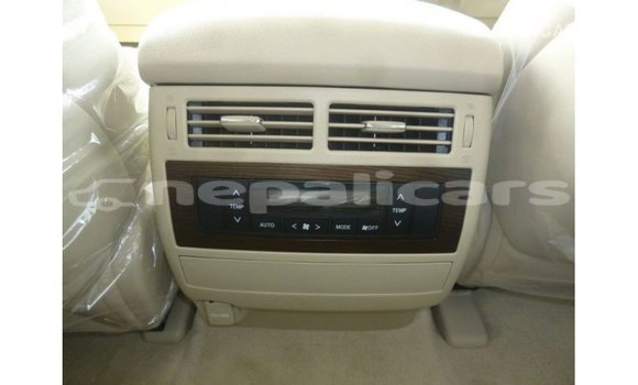 Buy Import Toyota Land Cruiser White Car in Import - Dubai in Bagmati Buy Import Toyota Land Cruiser White Car in Import - Dubai in Bagmati