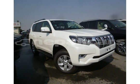 Buy Import Toyota Prado White Car in Import - Dubai in Bagmati Buy Import Toyota Prado White Car in Import - Dubai in Bagmati