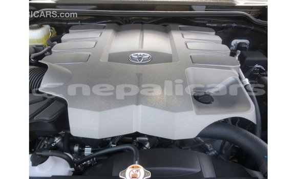 Buy Import Toyota Land Cruiser Blue Car in Import - Dubai in Bagmati Buy Import Toyota Land Cruiser Blue Car in Import - Dubai in Bagmati