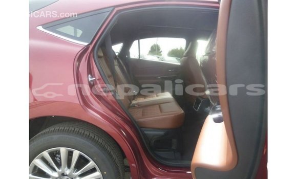 Buy Import Toyota Harrier Red Car in Import - Dubai in Bagmati Buy Import Toyota Harrier Red Car in Import - Dubai in Bagmati