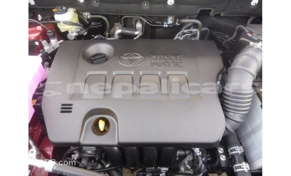 Buy Import Toyota Harrier Red Car in Import - Dubai in Bagmati Buy Import Toyota Harrier Red Car in Import - Dubai in Bagmati