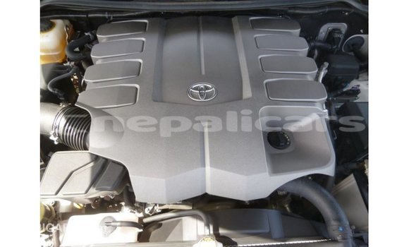 Buy Import Toyota Land Cruiser White Car in Import - Dubai in Bagmati Buy Import Toyota Land Cruiser White Car in Import - Dubai in Bagmati