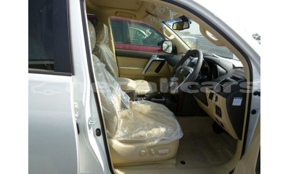 Buy Import Toyota Prado White Car in Import - Dubai in Bagmati Buy Import Toyota Prado White Car in Import - Dubai in Bagmati