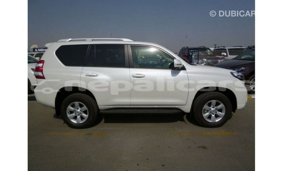 Buy Import Toyota Prado White Car in Import - Dubai in Bagmati Buy Import Toyota Prado White Car in Import - Dubai in Bagmati