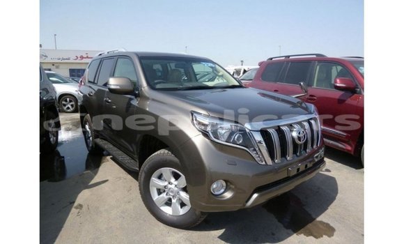 Buy Import Toyota Prado Brown Car in Import - Dubai in Bagmati Buy Import Toyota Prado Brown Car in Import - Dubai in Bagmati