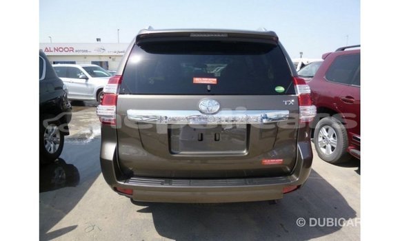 Buy Import Toyota Prado Brown Car in Import - Dubai in Bagmati Buy Import Toyota Prado Brown Car in Import - Dubai in Bagmati