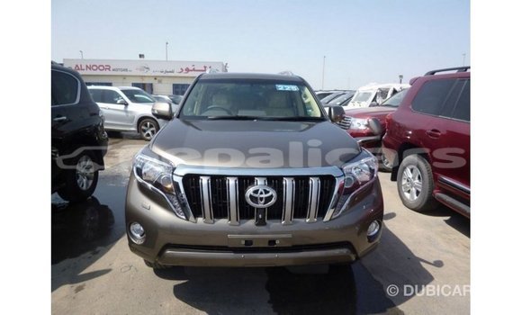 Buy Import Toyota Prado Brown Car in Import - Dubai in Bagmati Buy Import Toyota Prado Brown Car in Import - Dubai in Bagmati