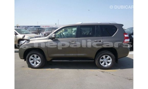 Buy Import Toyota Prado Brown Car in Import - Dubai in Bagmati Buy Import Toyota Prado Brown Car in Import - Dubai in Bagmati
