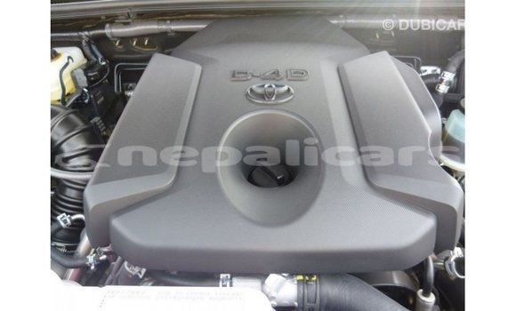 Buy Import Toyota Prado Brown Car in Import - Dubai in Bagmati Buy Import Toyota Prado Brown Car in Import - Dubai in Bagmati