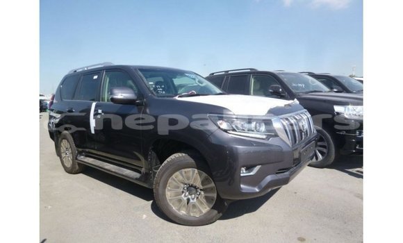 Buy Import Toyota Prado Other Car in Import - Dubai in Bagmati Buy Import Toyota Prado Other Car in Import - Dubai in Bagmati