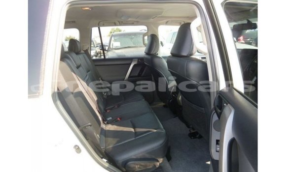 Buy Import Toyota Prado White Car in Import - Dubai in Bagmati Buy Import Toyota Prado White Car in Import - Dubai in Bagmati