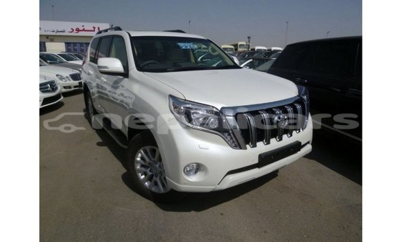 Buy Import Toyota Prado White Car in Import - Dubai in Bagmati Buy Import Toyota Prado White Car in Import - Dubai in Bagmati