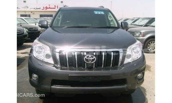 Buy Import Toyota Prado Other Car in Import - Dubai in Bagmati Buy Import Toyota Prado Other Car in Import - Dubai in Bagmati