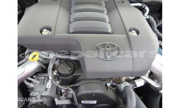 Buy Import Toyota Prado Black Car in Import - Dubai in Bagmati Buy Import Toyota Prado Black Car in Import - Dubai in Bagmati