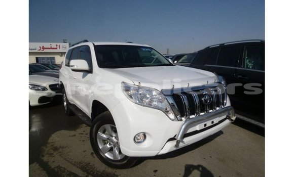 Buy Import Toyota Prado White Car in Import - Dubai in Bagmati Buy Import Toyota Prado White Car in Import - Dubai in Bagmati