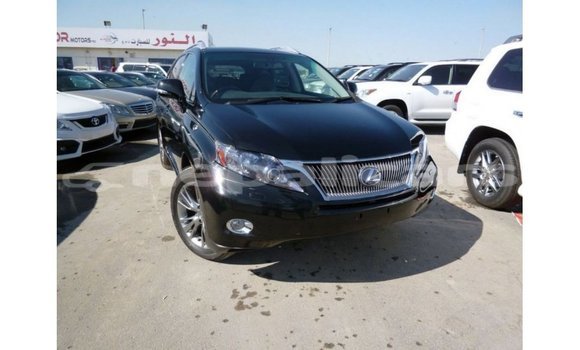 Buy Import Lexus RX Black Car in Import - Dubai in Bagmati Buy Import Lexus RX Black Car in Import - Dubai in Bagmati
