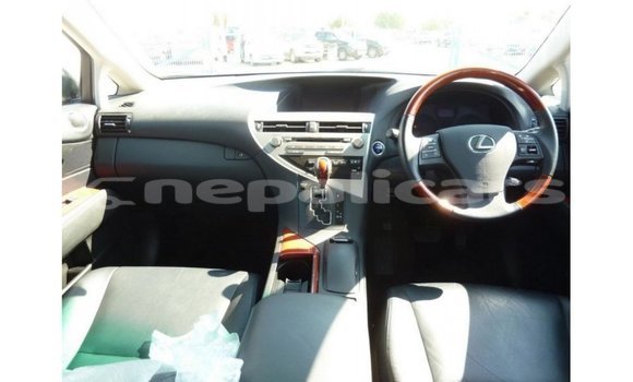 Buy Import Lexus RX Black Car in Import - Dubai in Bagmati Buy Import Lexus RX Black Car in Import - Dubai in Bagmati