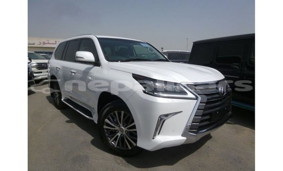 Buy Import Lexus LX White Car in Import - Dubai in Bagmati Buy Import Lexus LX White Car in Import - Dubai in Bagmati