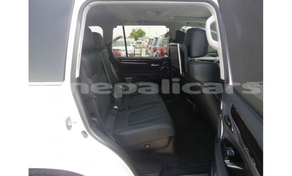 Buy Import Lexus LX White Car in Import - Dubai in Bagmati Buy Import Lexus LX White Car in Import - Dubai in Bagmati