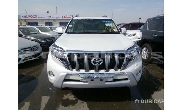 Buy Import Toyota Prado White Car in Import - Dubai in Bagmati Buy Import Toyota Prado White Car in Import - Dubai in Bagmati
