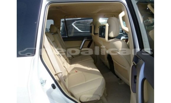 Buy Import Toyota Prado White Car in Import - Dubai in Bagmati Buy Import Toyota Prado White Car in Import - Dubai in Bagmati