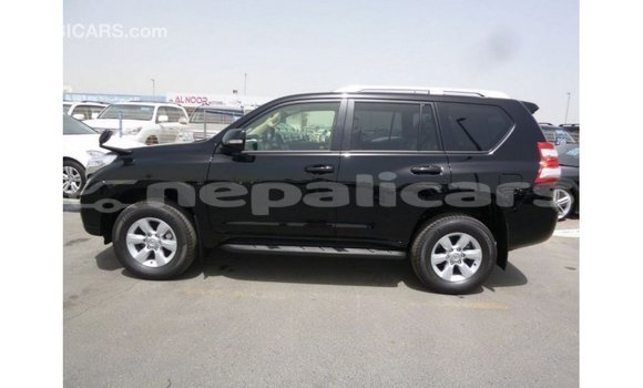 Buy Import Toyota Prado Black Car in Import - Dubai in Bagmati Buy Import Toyota Prado Black Car in Import - Dubai in Bagmati