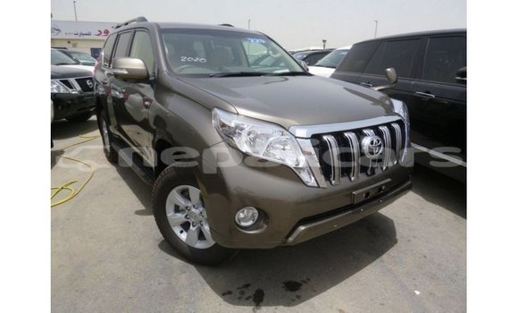 Buy Import Toyota Prado Brown Car in Import - Dubai in Bagmati Buy Import Toyota Prado Brown Car in Import - Dubai in Bagmati