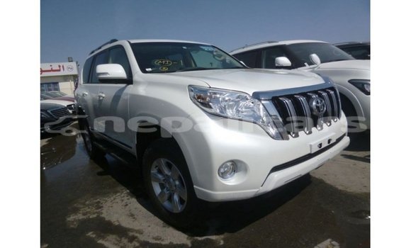 Buy Import Toyota Prado White Car in Import - Dubai in Bagmati Buy Import Toyota Prado White Car in Import - Dubai in Bagmati