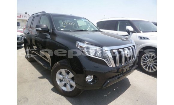 Buy Import Toyota Prado Black Car in Import - Dubai in Bagmati Buy Import Toyota Prado Black Car in Import - Dubai in Bagmati