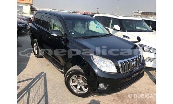 Buy Import Toyota Prado Black Car in Import - Dubai in Bagmati Buy Import Toyota Prado Black Car in Import - Dubai in Bagmati