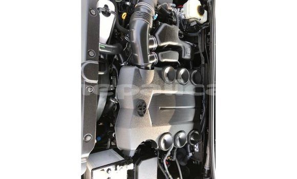 Buy Import Toyota Prado Black Car in Import - Dubai in Bagmati Buy Import Toyota Prado Black Car in Import - Dubai in Bagmati