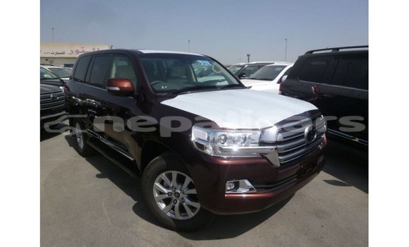 Buy Import Toyota Land Cruiser Other Car in Import - Dubai in Bagmati Buy Import Toyota Land Cruiser Other Car in Import - Dubai in Bagmati