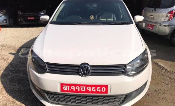 Buy Used Volkswagen Polo White Car in Kathmandu in Bagmati