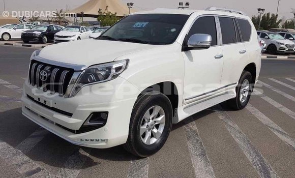 Buy Import Toyota Prado White Car in Import - Dubai in Bagmati Buy Import Toyota Prado White Car in Import - Dubai in Bagmati