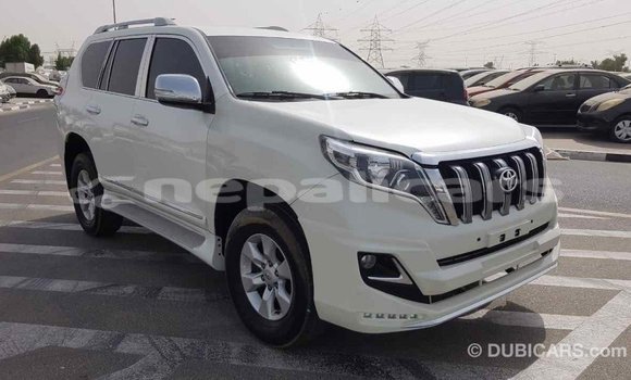 Buy Import Toyota Prado White Car in Import - Dubai in Bagmati Buy Import Toyota Prado White Car in Import - Dubai in Bagmati