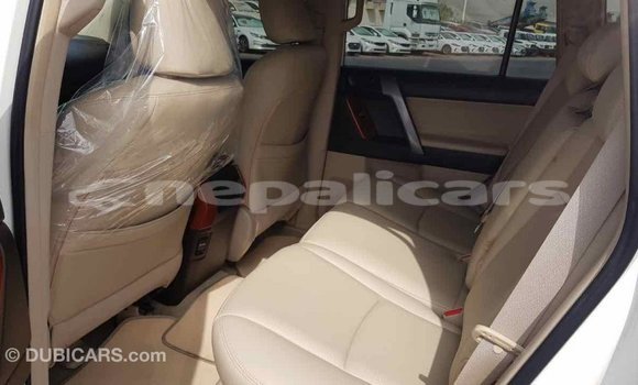 Buy Import Toyota Prado White Car in Import - Dubai in Bagmati Buy Import Toyota Prado White Car in Import - Dubai in Bagmati