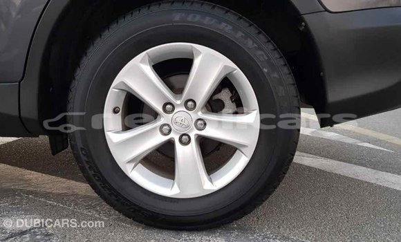Buy Import Toyota RAV4 Other Car in Import - Dubai in Bagmati Buy Import Toyota RAV4 Other Car in Import - Dubai in Bagmati