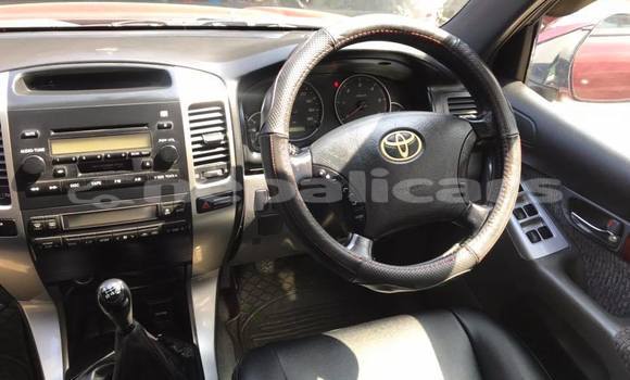 Buy Used Toyota Land Cruiser Prado Red Car in Kathmandu in Bagmati Buy Used Toyota Land Cruiser Prado Red Car in Kathmandu in Bagmati