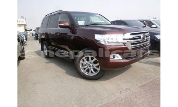 Buy Import Toyota Land Cruiser Other Car in Import - Dubai in Bagmati Buy Import Toyota Land Cruiser Other Car in Import - Dubai in Bagmati