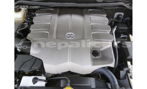 Buy Import Toyota Land Cruiser Black Car in Import - Dubai in Bagmati Buy Import Toyota Land Cruiser Black Car in Import - Dubai in Bagmati
